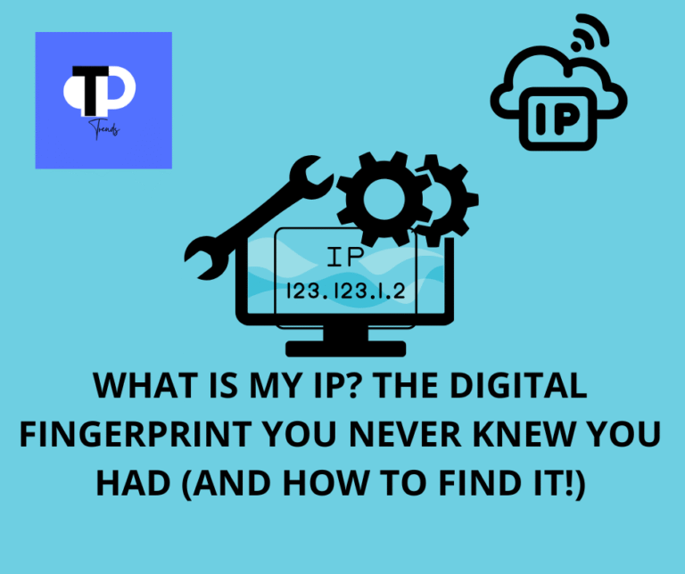 Your Public IP Address