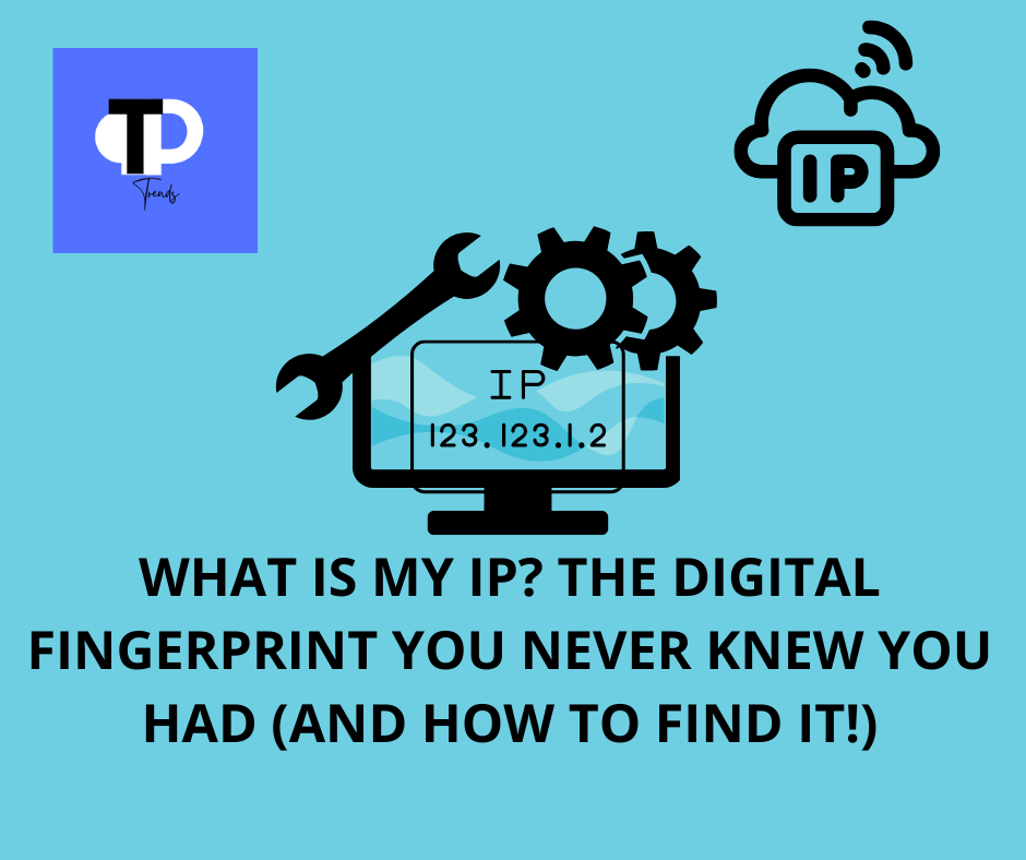 Your Public IP Address